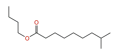 Butyl 8-methylnonanoate